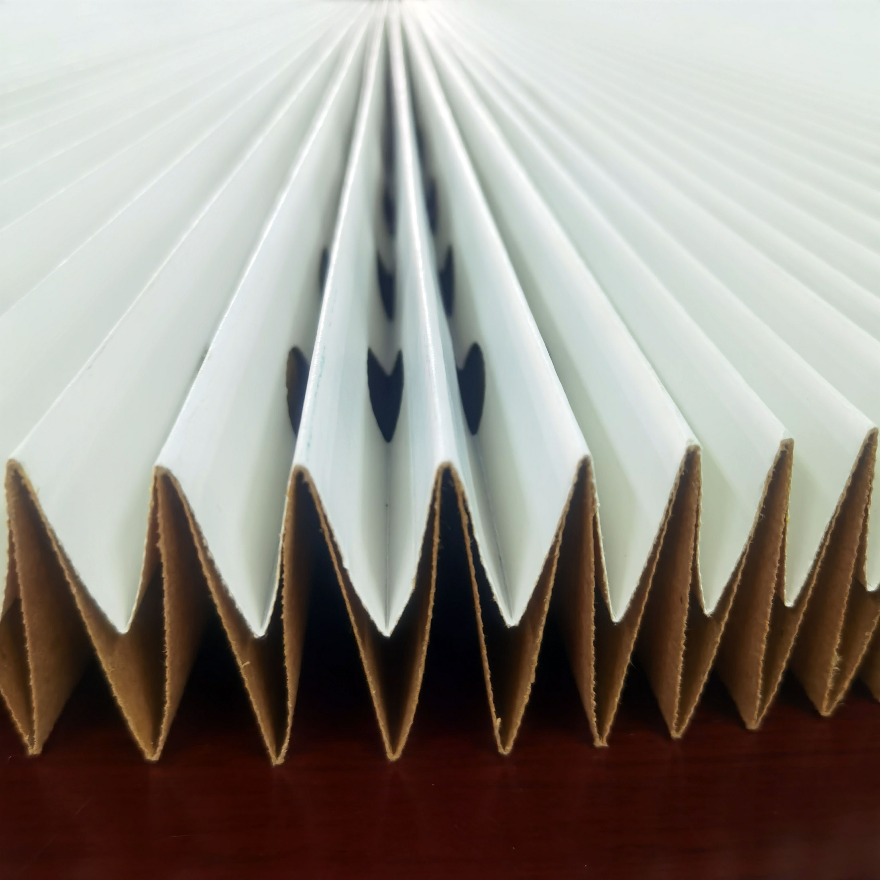 Andrea Filter Paper V-type Filter Paper Folded Dry–type Filter Paper
